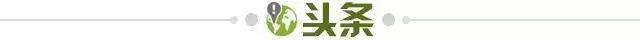 kaiyun应用-【早报】终结英西10年统治！法兰克福不败欧联夺冠！